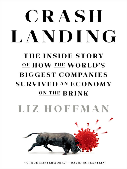 Title details for Crash Landing by Liz Hoffman - Available